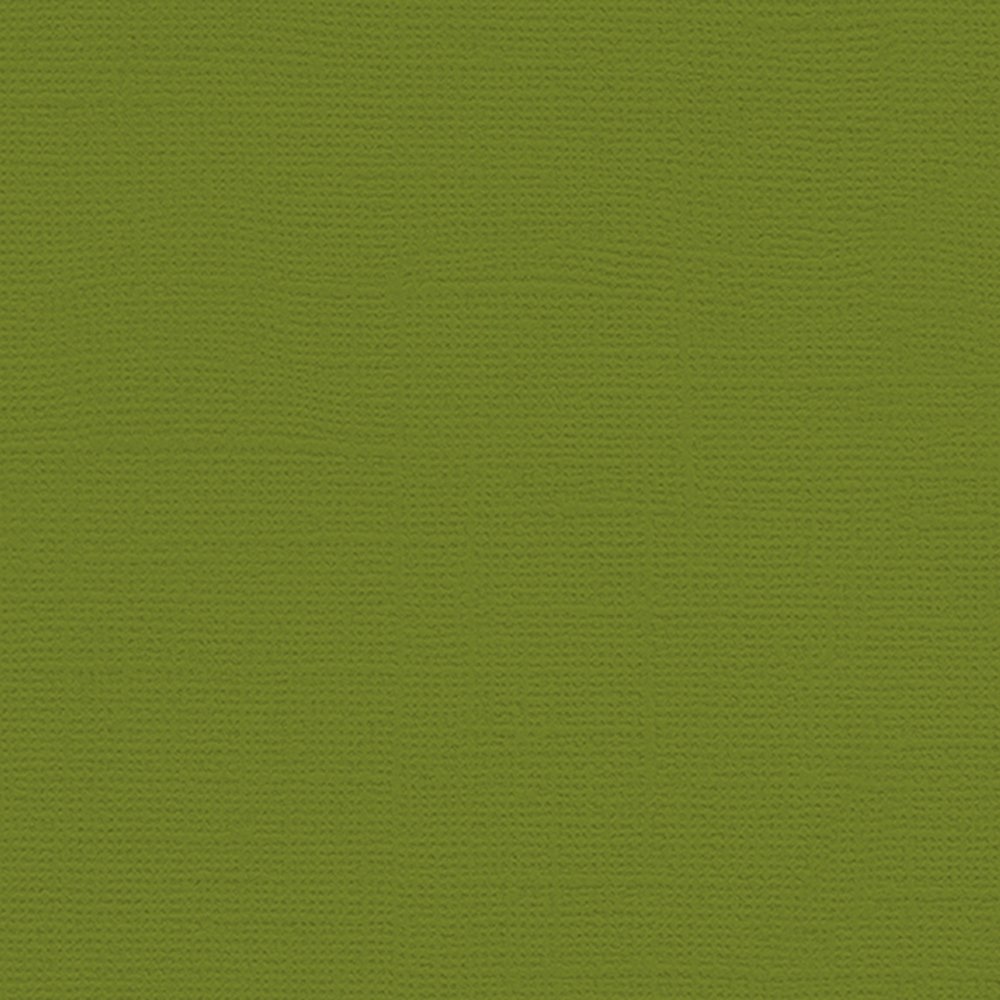 My Color Cardstock Canvas 30,6x30,6 cm 216 g - Spansk mos - Design & motivark, Scrapbooking, Håndværk