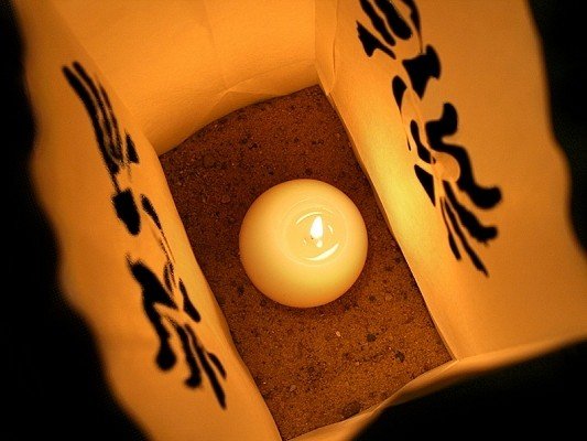 Ljuslykta av papper - Duvor 26 cm 10 st Ljuslykta av papper - Duvor 26 cm 10 st