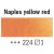 Rembrandt Akvarelmaling/Vandfarver Half Cup - Gul/Orange-1-Napoli Gul-Rd