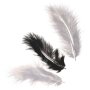 Marabou fj�drar mix 10 cm, svart, 15-pack