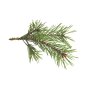 Doftolja skog för ljus 27 ml Doftolja skog för ljus 27 ml