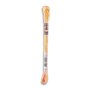 DMC Moulin� art. 417F Color Variations, 4100 Rhubarb and Custard