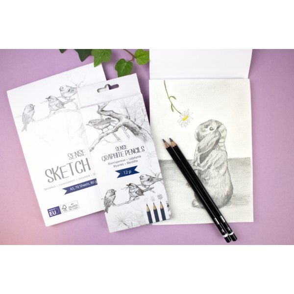 Blyanter Sense - 12-pak