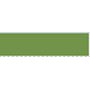 Fargeblyant Caran DAche Artist Pablo - Moss Green (225)